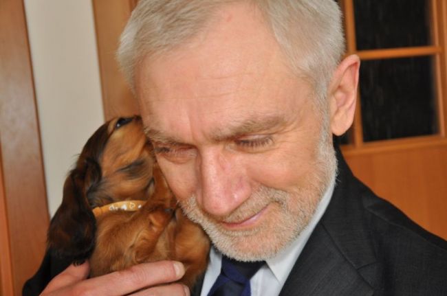 jamnik d�ugow�osy NAILA